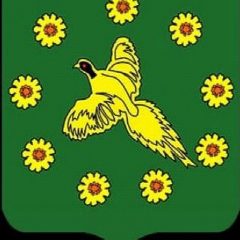 Канал Управление образования Бикинского муниципального округа в мессенджере MAX — 19 подписчиков