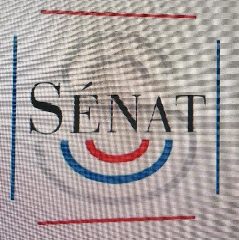 Канал ООО "СЕНАТ" в мессенджере MAX — 165 подписчиков