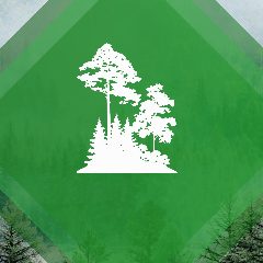 Канал Министерство лесного хозяйства и лесопереработки Хабаровского края в мессенджере MAX — 250 подписчиков