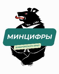 Канал Минцифры Хабаровского края в мессенджере MAX — 1 438 подписчиков
