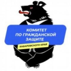 Канал Комитет Правительства Хабаровского края по гражданской защите в мессенджере MAX — 769 подписчиков