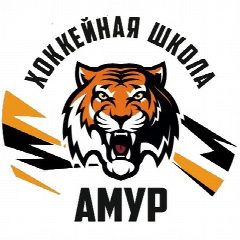 Канал Amurschool27 в мессенджере MAX — 185 подписчиков