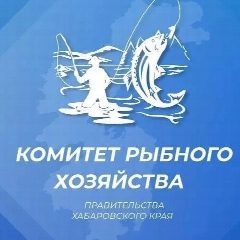 Канал Комитет рыбного хозяйства Правительства Хабаровского края в мессенджере MAX — 53 подписчика