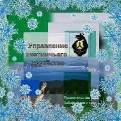 Канал Управление охотничьего хозяйства Правительства Хабаровского края в мессенджере MAX — 573 подписчика