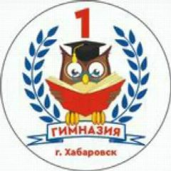 Канал Гимназия № 1 | Хабаровск в мессенджере MAX — 772 подписчика