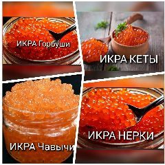 Канал Икорный цех Хабаровск в мессенджере MAX — 893 подписчика