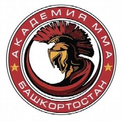 Канал Академия ММА (Уфа) в мессенджере MAX — 151 подписчик