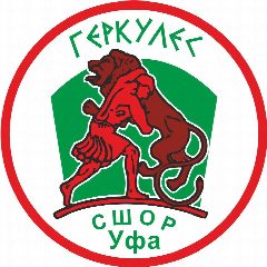 Канал МБУ ДО СШ «Геркулес» имени Н. Д. Попова в мессенджере MAX — 26 подписчиков