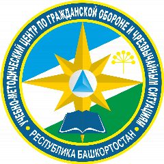 Канал УМЦ ГОЧС РБ в мессенджере MAX — 16 подписчиков
