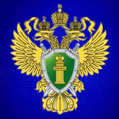 Канал Прокуратура Амурской области в мессенджере MAX — 1 084 подписчика