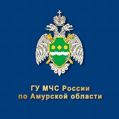 Канал МЧС Амурской области в мессенджере MAX — 1 493 подписчика
