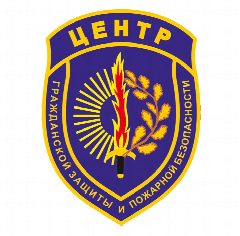 Канал Амурские спасатели (Амурский центр ГЗ и ПБ) в мессенджере MAX — 1 178 подписчиков