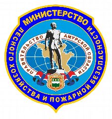 Канал Амурский минлес в мессенджере MAX — 677 подписчиков