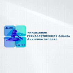 Канал Управление государственного заказа Амурской области в мессенджере MAX — 99 подписчиков