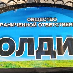 Канал ООО "Холдинг", г.Шимановск в мессенджере MAX — 102 подписчика