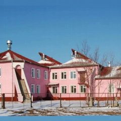 Канал ГАУ АО "Дмитриевский СРЦН" в мессенджере MAX — 26 подписчиков