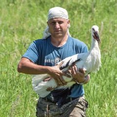 Канал 🐦 Птицы Амура 🐦 в мессенджере MAX — 861 подписчик