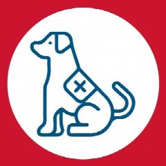 Канал Инспекция по ветеринарному надзору Архангельской области в мессенджере MAX — 24 подписчика