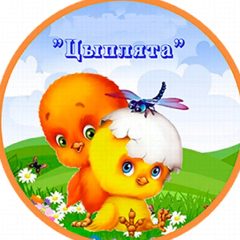 Канал Детский сад "Цыплята" город Северодвинск в мессенджере MAX — 128 подписчиков