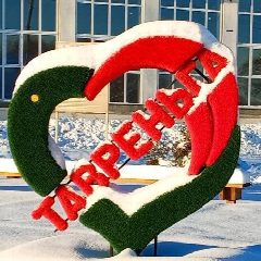 Канал МБУК "Тавреньгский Центр досуга" в мессенджере MAX — 30 подписчиков