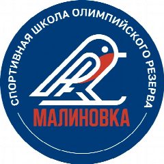 Канал СШОР Малиновка | лыжные гонки в мессенджере MAX — 157 подписчиков