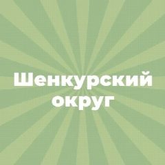 Канал Шенкурский муниципальный округ в мессенджере MAX — 266 подписчиков