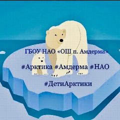 Канал ГБОУ НАО "ОШ п. Амдерма" в мессенджере MAX — 33 подписчика