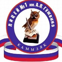 Канал МКОУ "Лицей №1 им. А.П. Гужвина г. Камызяк" в мессенджере MAX — 979 подписчиков