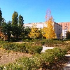 Канал ГАСУ СО АО Наримановский дом-интернат в мессенджере MAX — 112 подписчиков