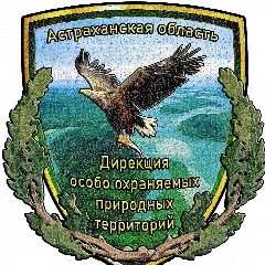 Канал Дирекция северных ООПТ- сохраним природу вместе в мессенджере MAX — 52 подписчика