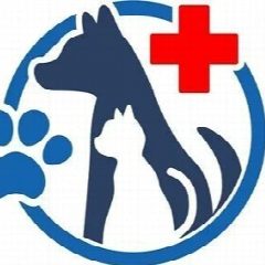Канал ГБУ АО "Черноярская райветстанция" в мессенджере MAX — 38 подписчиков