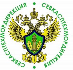 Канал ФГБУ «СевКасптехмордирекция» в мессенджере MAX — 18 подписчиков