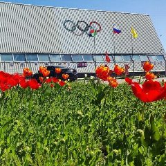 Канал МБУ ДО ДЮСШ п.Волоконовка в мессенджере MAX — 355 подписчиков