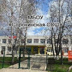 Канал МБОУ «Сорокинская СОШ» в мессенджере MAX — 175 подписчиков