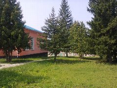 Канал МБУ ДО "ДМШ" с. Веселое в мессенджере MAX — 13 подписчиков