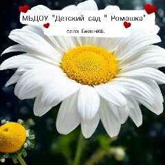 Канал Детский сад с.Белянка в мессенджере MAX — 47 подписчиков