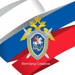 Канал Белгород Следком в мессенджере MAX — 282 подписчика