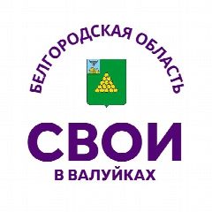 Канал МКУ "Центр молодежных инициатив" в мессенджере MAX — 28 подписчиков
