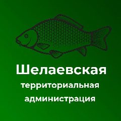 Канал Шелаевская территориальная администрация в мессенджере MAX — 268 подписчиков