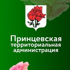 Канал Принцевская территориальная администрация в мессенджере MAX — 20 подписчиков