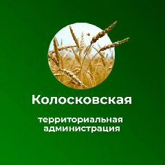 Канал КОЛОСКОВСКАЯ ТЕРРИТОРИАЛЬНАЯ АДМИНИСТРАЦИЯ в мессенджере MAX — 133 подписчика
