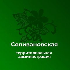 Канал Селивановская территориальная администрация в мессенджере MAX — 29 подписчиков