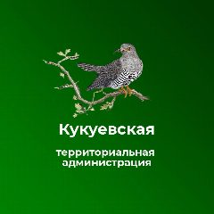 Канал Кукуевская территориальная администрация в мессенджере MAX — 34 подписчика