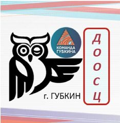 Канал Детский спортивный центр (ДООСЦ) в мессенджере MAX — 153 подписчика
