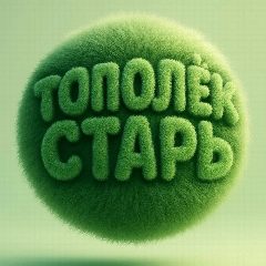Канал МАДОУ ДСКВ "Тополек" п.Старь в мессенджере MAX — 69 подписчиков
