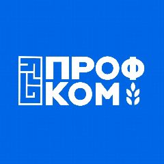 Канал Профком студентов БГУ (Улан-Удэ) в мессенджере MAX — 939 подписчиков