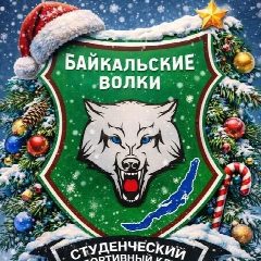 Канал ССК "Байкальские волки" | ЦРМСС в мессенджере MAX — 823 подписчика