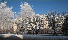 Канал Вестник МБОУ СОШ №1 г. Брянска в мессенджере MAX — 840 подписчиков