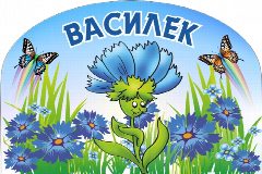 Канал МБДОУ Детский сад №13 "Василек" в мессенджере MAX — 33 подписчика