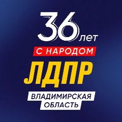 Канал ЛДПР Владимирская область в мессенджере MAX — 38 подписчиков